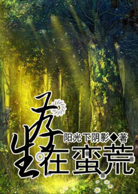 ���������ķ���