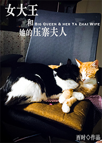 Ů����������ѹկ����