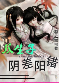 ˫������������