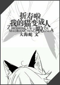 �������ҵ�è���������