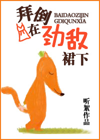 �ݵ��ھ���ȹ��