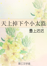 ���ϵ��¸�С̫�����