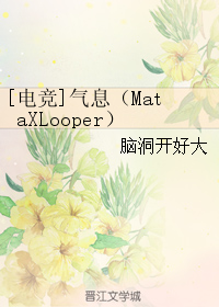 (�羺ͬ��)[�羺]��Ϣ(mataxlooper)����
