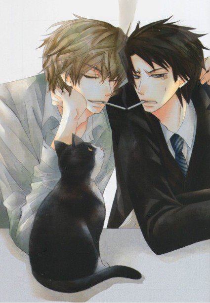 ������ý�˷���