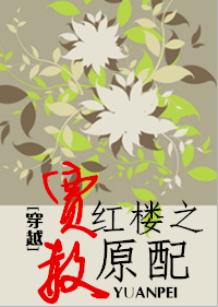 ��Խ��¥֮����ԭ�� ����:÷�꼾����