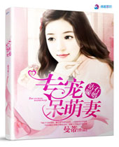 ��ʯů��֮ר������޷���