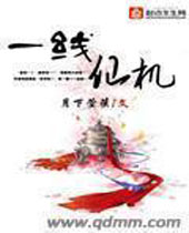 һ���ɻ�����