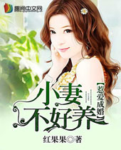 �ǰ��ɻ�С�޲�����