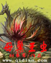 ĸ������