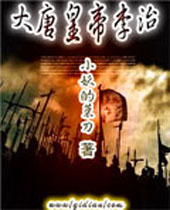 ���ƻʵ����η���