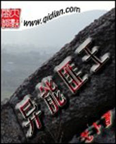 ���ܷ�������