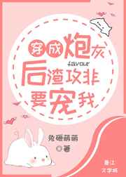 �����ڻҺ�������Ҫ����