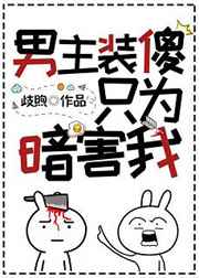 ����װɵֻΪ������[����]