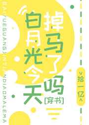 ���¹�����������