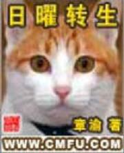 ����ת������