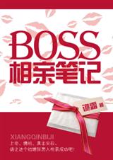 boss���ױʼǷ���