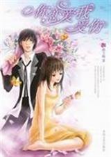 �����������˷���