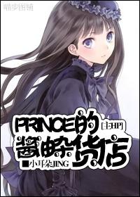 ��HP Prince�Ľ����ӻ���