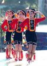 ����̥��ĸѰ�����