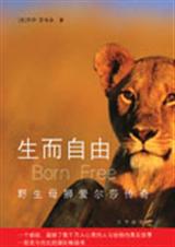 ��������Ұ��ĸʨ����ɯ�������