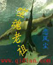 �ɻ��������