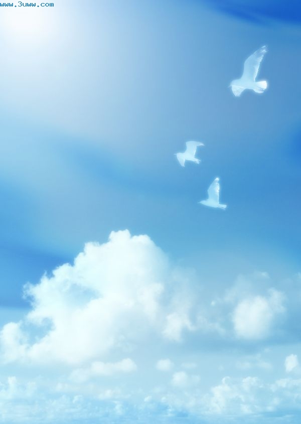 ���������