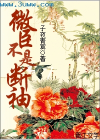 ΢�����Ƕ������