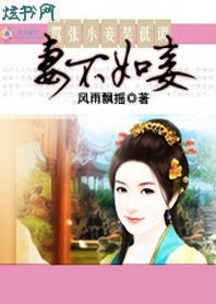 ����С�װ�͵�:�޲����