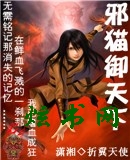 аè�����·���