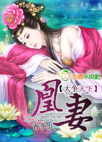 ��������:����